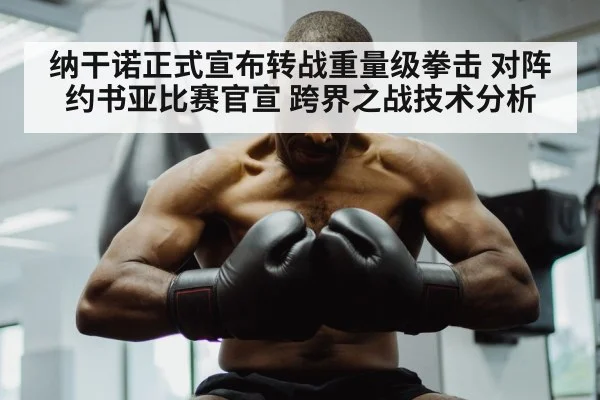 纳干诺正式宣布转战重量级拳击 对阵约书亚比赛官宣 跨界之战技术分析